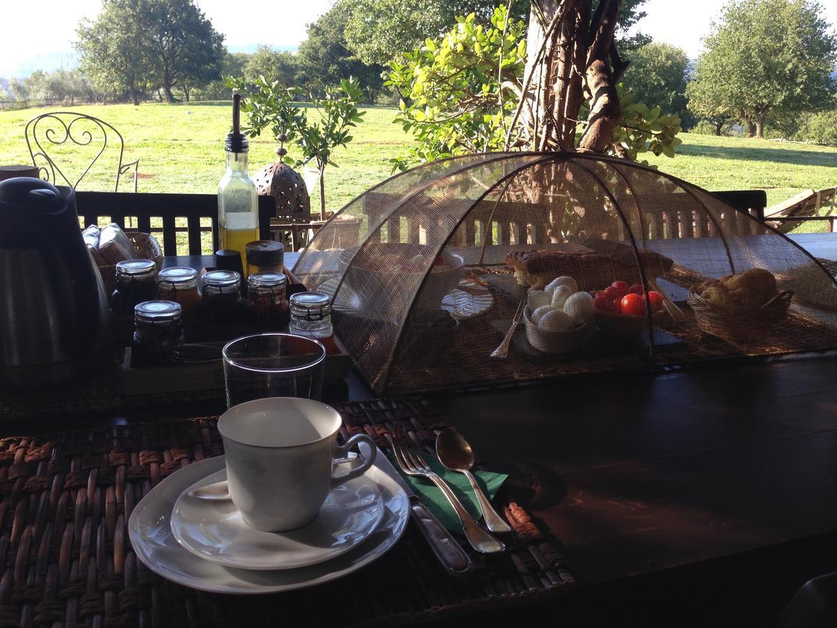 Bed And Breakfast Dopo Il Settimo Cielo Lubriano Eksteriør bilde