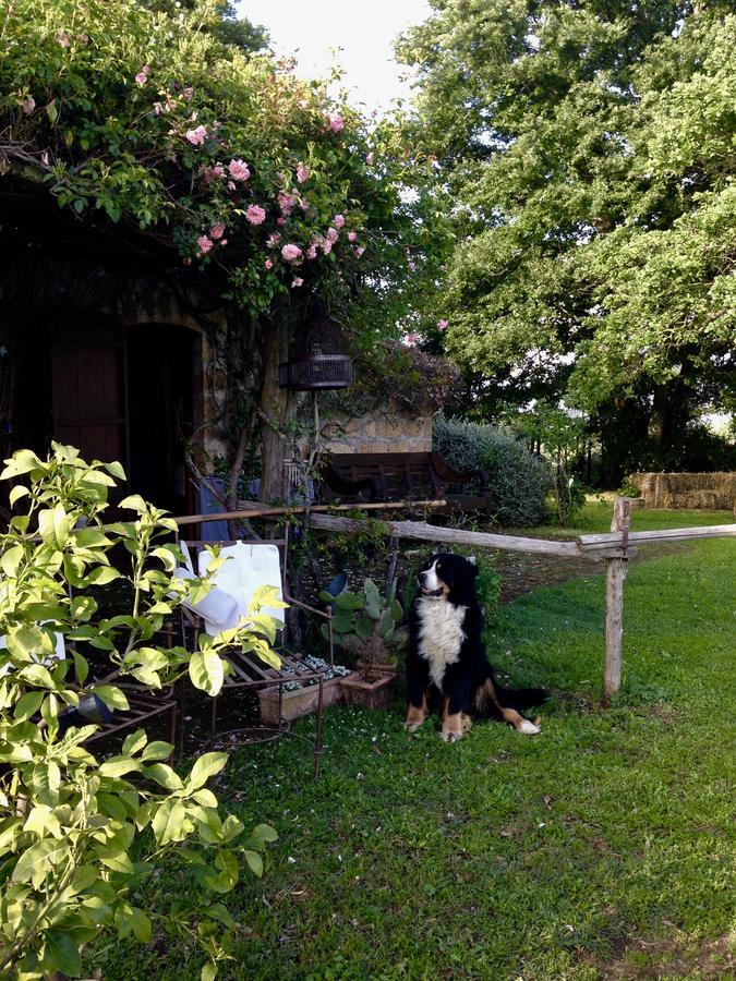 Bed And Breakfast Dopo Il Settimo Cielo Lubriano Eksteriør bilde